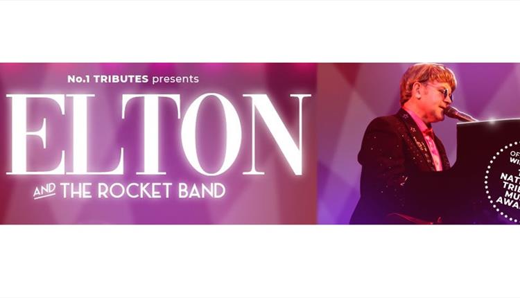 Elton promo banner on pink background.