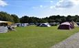 Tents pitched up ready to enjoying the beautiful day at Wareham forest