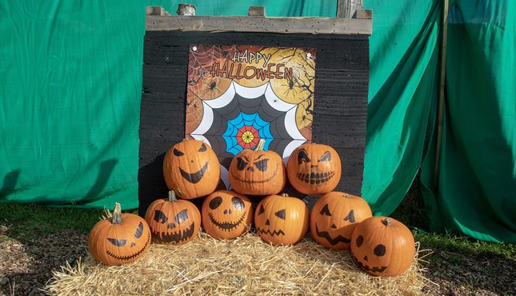 Pumpkins on a Halloween Archery range