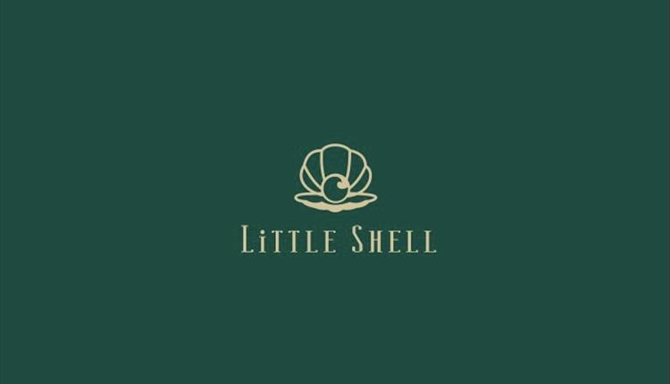 little shell logo of a golden clam on a green background.