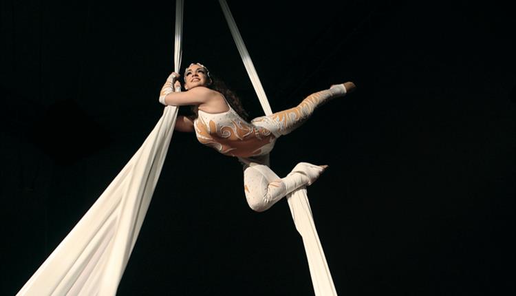 Acrobat hanging down white ropes from the ceiling