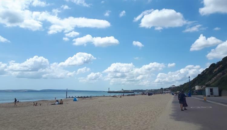Bournemouth Seashore Safari and Beach Clean