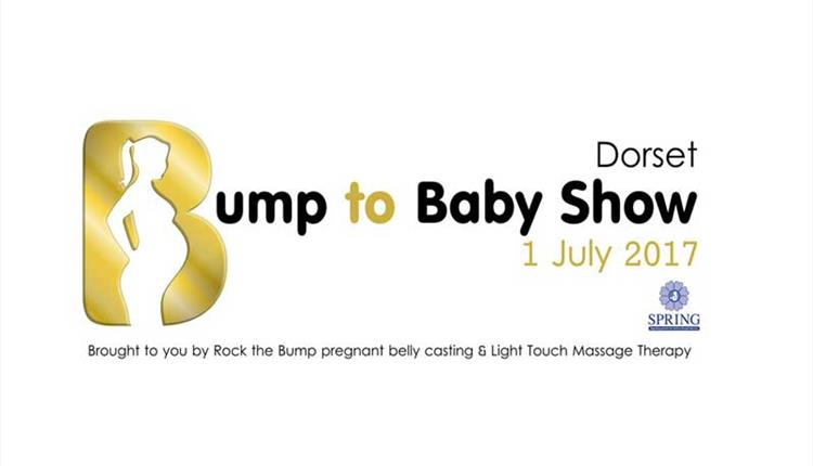 Dorset Bump to Baby Show