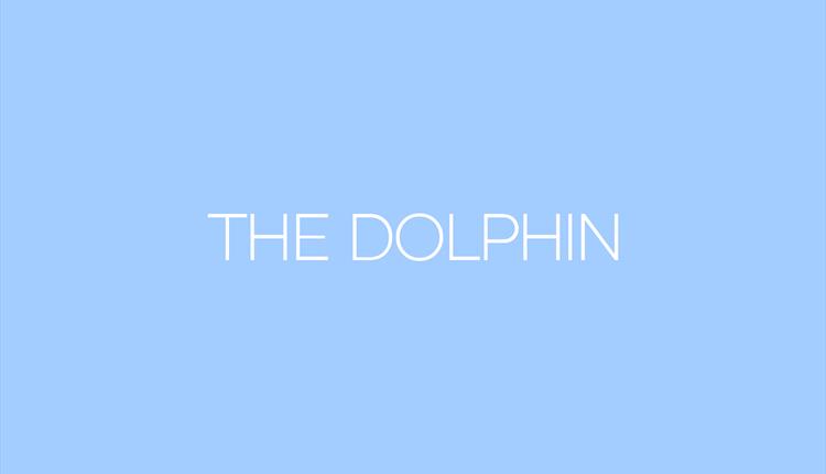 The Dolphin logo written in white with a blue background