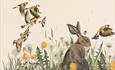 Dandelion field with birds and a hare by Jackie Morris