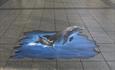 a 3d vinyl sticker of a dolphin jumping printed on the floor