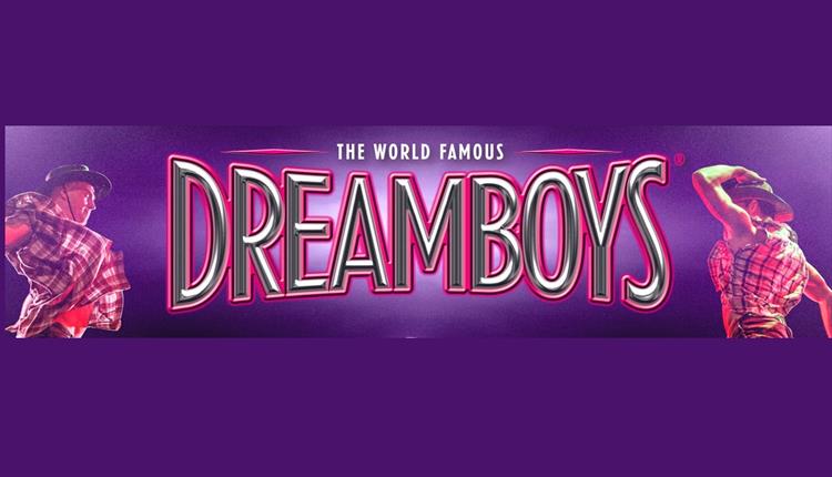 One of the less promiscuous promotional images for the dreamboys tour