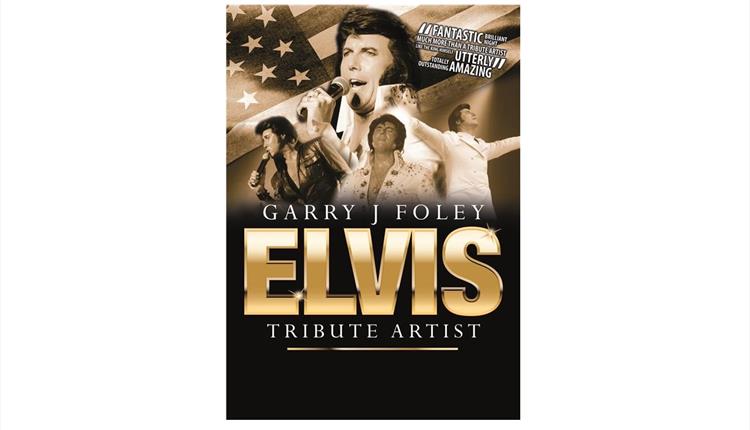 Elvis Presley tribute promotional poster