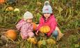 Girls pumpkin picking