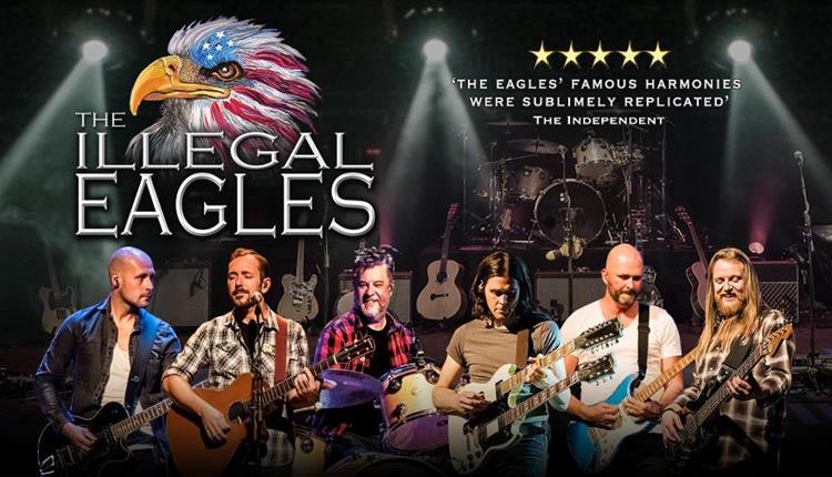 all male band dressed in shirts and jeans playing guitars, 'the illegal eagles' text above them and eagle logo with stars and stripes flag on its head