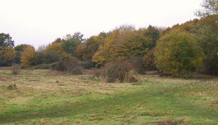Iford Meadows