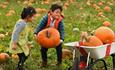 Kids with giant pumpkin