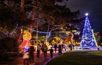 Lit up giant teddy bear and walk with with festive lights
