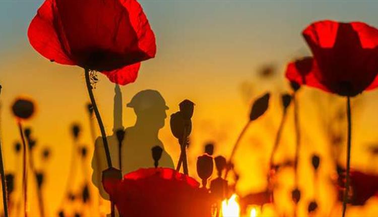 Poppies, with a soldier silhouette in the background.