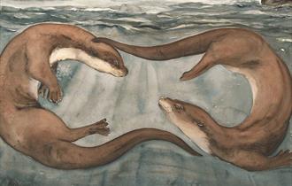 Two otters swimming by Jackie Morris
