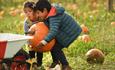 Children and pumpkins