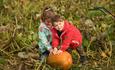 Two children Pumpkin picking in the fields