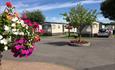 reception and view of flowering baskets, Meadowbank Holidays