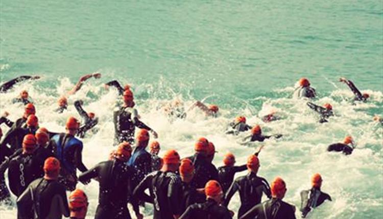 Swimmers make a mad dash into the sea to start the race