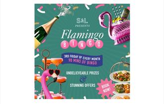 promo clipart poster of flamingos wearing sunglasses