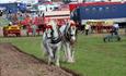 Two heavy horses pulling a plough at the Great Dorset Steam Fair