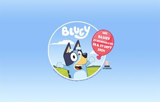 Bluey promotional poster