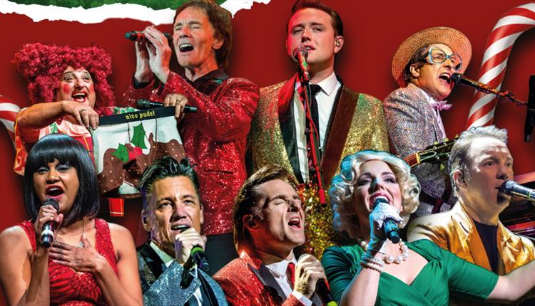 That'll be the day Christmas Show poster showcasing the acts performing
