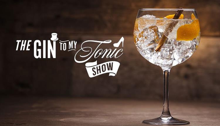 glass of gin on a table with cinnamon stick, lemon slices and ice cubes, 'the gin to my tonic show' title text to the left