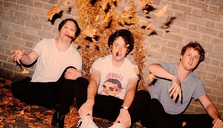 The Wombats Band