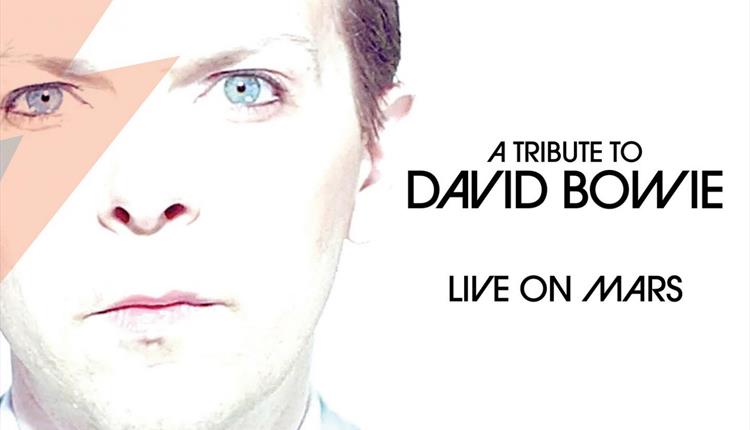 Live On Mars - Bowie Tribute