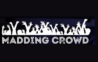 Madding Crowd