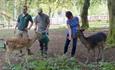 The workers and guests feeding Deer at the New Forest Wildlife Park