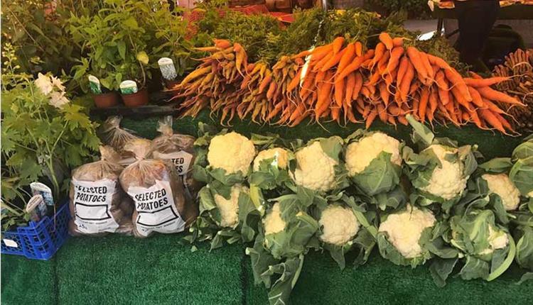 image of farmers market table with carrots, cauliflower, potatoes