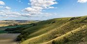 The Scarp, Sussex Downs