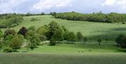 Stanmer Park towards Downs