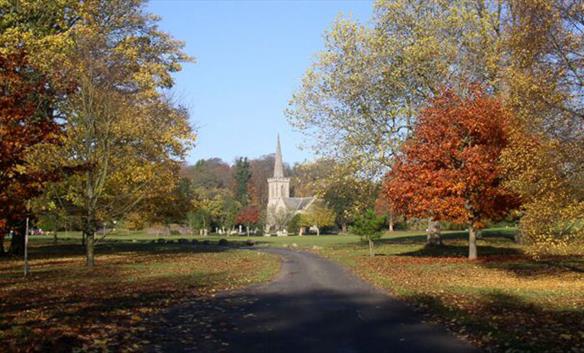 Sussex Gardens to visit near Brighton, Hastings, and Horsham - Great  British Gardens