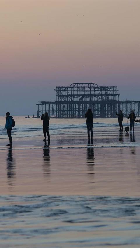 can you take dogs to brighton beach