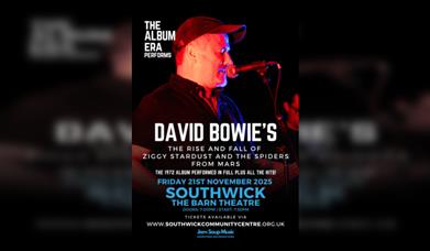 David Bowies The Rise and Fall of Ziggy Stardust performed by The Album Era