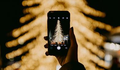 Person taking picture of golden tree lights