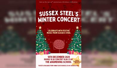 Sussex Steel Winter Steelpan Concert