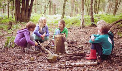 Children in wood 