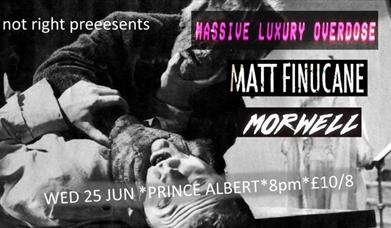 Massive Luxury Overdose / Matt Finucane / Morwell