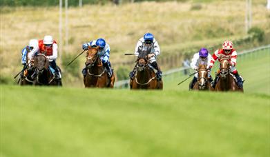 Festival of Racing 2025