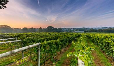 Bolney Wine Estate
