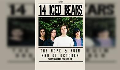 14 Iced Bears