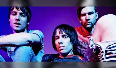 The Cribs