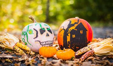 Ears of corn and pumpkins painted like a skull and haunted house