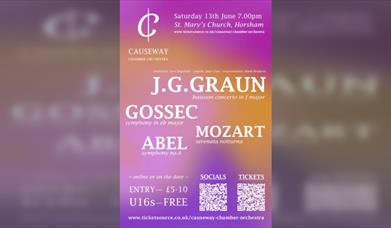 Causeway Chamber Orchestra - By Royal Appointment