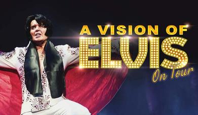A Vision of Elvis