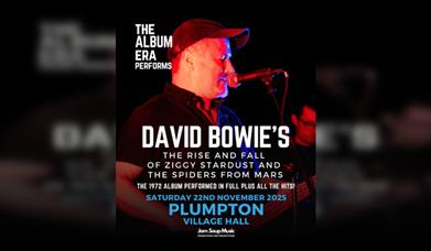 David Bowies The Rise and Fall of Ziggy Stardust and the Spiders From Mars